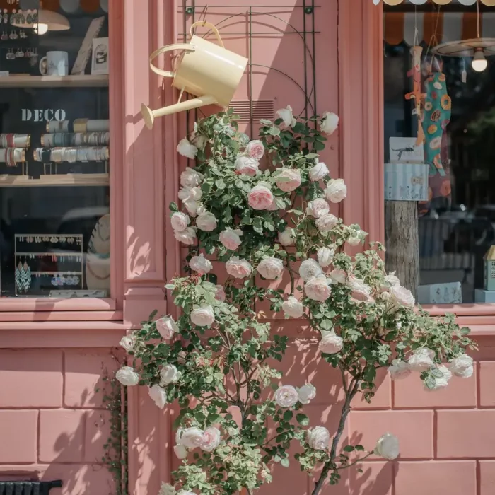 Oh la la - Mai 2026 - Christine Lignier Photography (51 sur 61)
